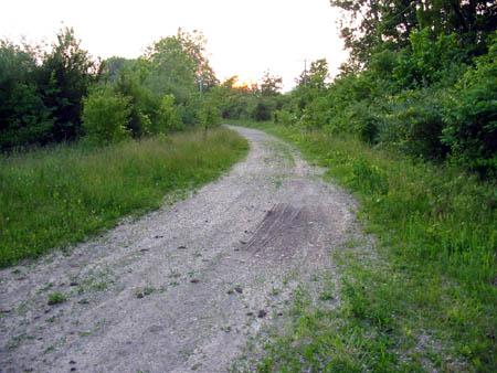 Denniston Drive-In Theatre - Driveway - Photo From Water Winter Wonderland